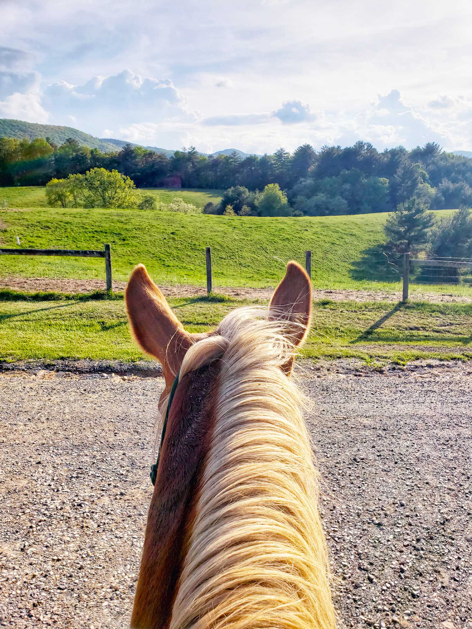 Forms Iron Mountain Horse Camp